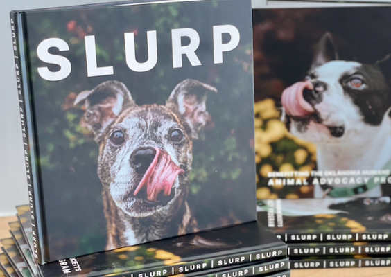 Purchase A Copy of SLURP!