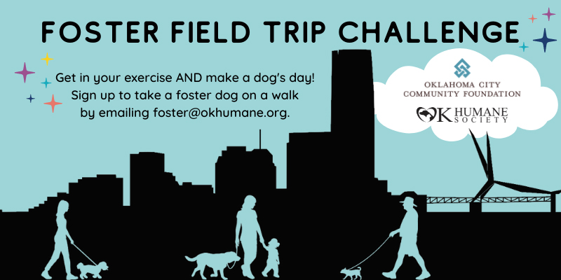 Foster Fieldtrip Challenge | OK Humane Society