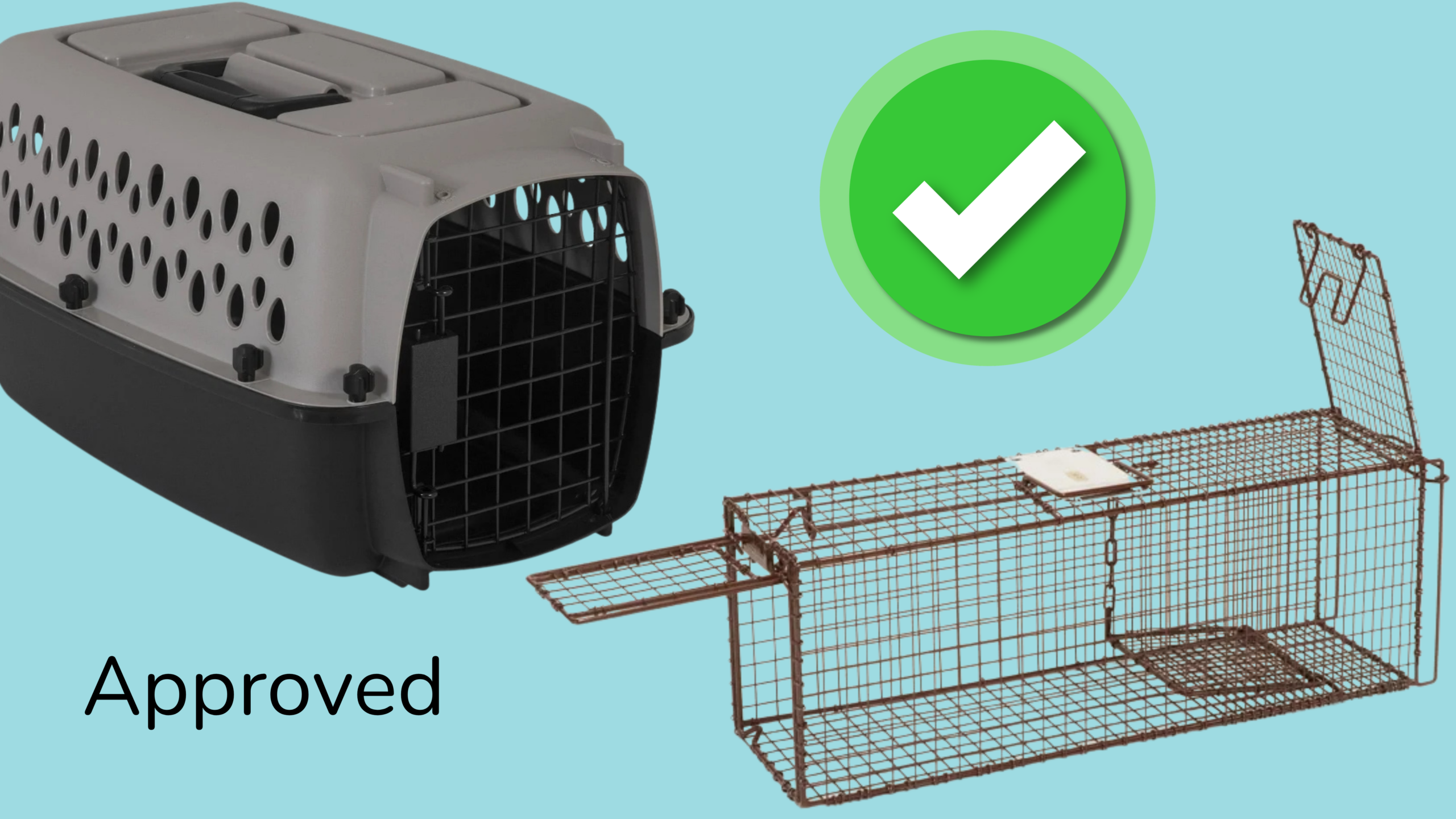 Approved Cat Carriers