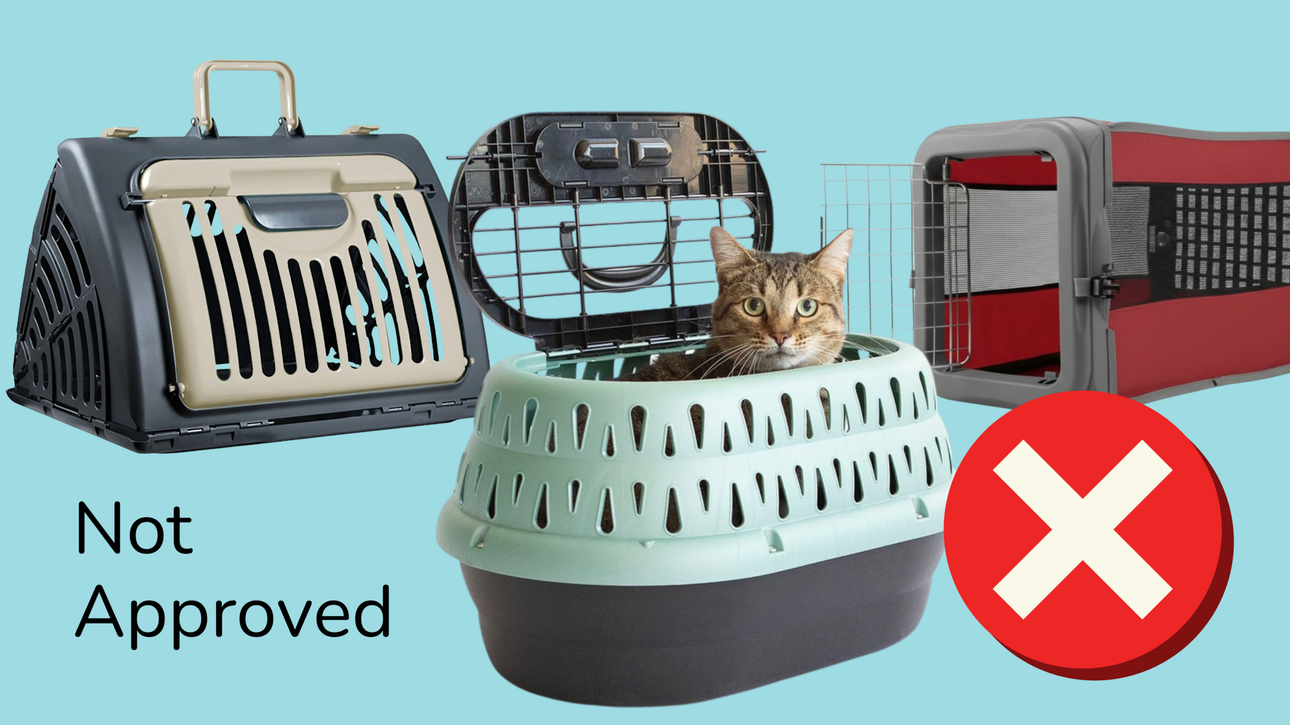 Not Approved Cat Carriers
